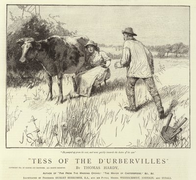 Tess of the D