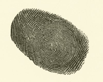Fingeraftryk (gravering) af Hugh Rowley