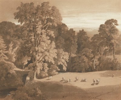 Parkland ved Minto House (pen og blæk og vask) af Hugh William Williams