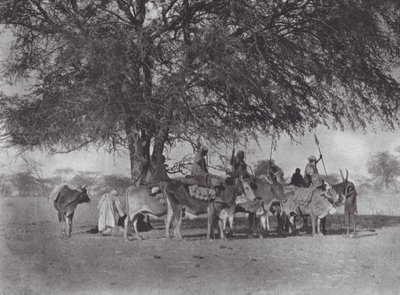 Afrika: Karavane af okseryttere på Den Hvide Nil (s/h-foto) af Hugo Adolf Bernatzik