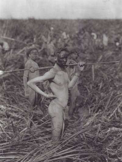 Afrika: Nuer-krigere i sump (s/h-foto) af Hugo Adolf Bernatzik