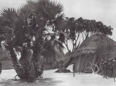 Afrika: Shilluk-landsby ved Den Hvide Nil (s/h-foto) af Hugo Adolf Bernatzik