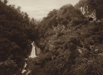 Mexico: Atoyac, Salto de agua (s/h-foto) af Hugo Brehme