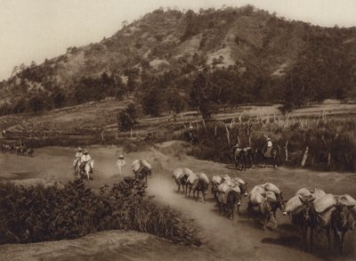 Mexico: Transportknudepunkt i det indre af landet (s/h-foto) af Hugo Brehme