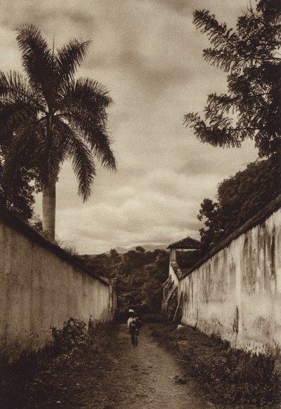 Mexico: Cuernavaca, gade, der fører til landsbyen San Antonio (s/h-foto) af Hugo Brehme