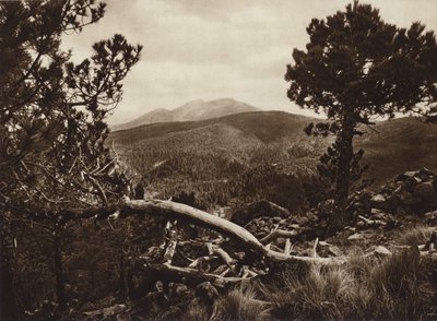 Mexico: El Ajusco, set fra San Miguel (s/h-foto) af Hugo Brehme