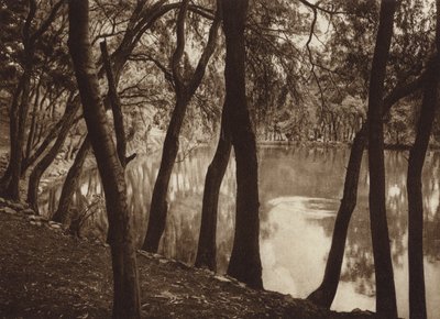 Mexico: Las fuentes de Tlalpam D F (s/h-foto) af Hugo Brehme