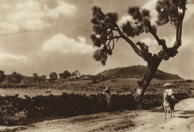 Mexico: Patzcuaro, El Calvario, Michoacan State (s/h-foto) af Hugo Brehme