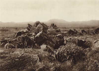 Mexico: Pedregal, Corriente de basalto-lava nær San Angel (s/h-foto) af Hugo Brehme