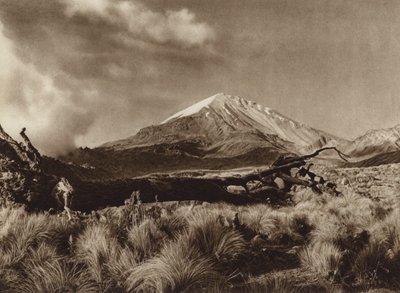 Mexico: Pico de Orizaba, delstaten Puebla (s/h-foto) af Hugo Brehme