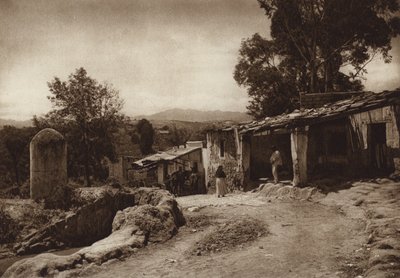 Mexico: San Esteban, udkanten af hovedstaden Mejico (s/h-foto) af Hugo Brehme