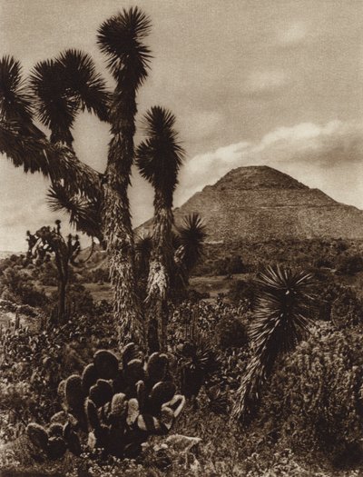 Mexico: San Juan Teotihuacan, Månepyramiden (s/h-foto) af Hugo Brehme