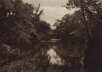 Mexico: Tamasopo, Panorama del rio, Vera Cruz State (s/h-foto) af Hugo Brehme
