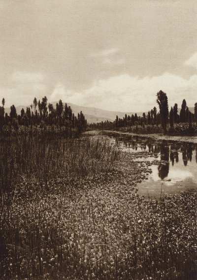 Mexico: Xochimilco, en af hovedkanalerne (s/h-foto) af Hugo Brehme