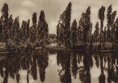 Mexico: Xochimilco med de såkaldte "flydende haver" (s/h-foto) af Hugo Brehme