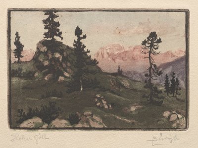 Høj Måge af Hugo Burghel