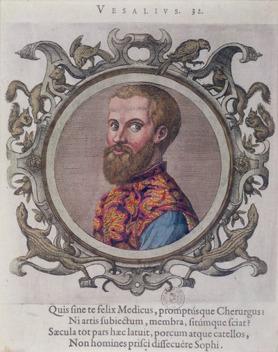 Portræt af Andreas Vesalius (1514-64) fra Recueil des Portraits de Medecins af den ungarske læge, Sambucus, 1574 af Hungarian School