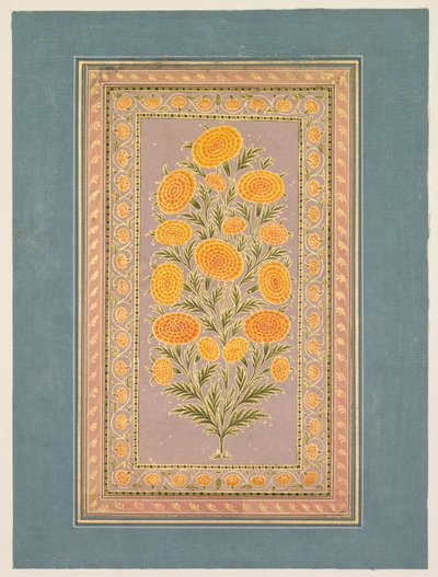 Blomstrende morgenfrue, ca. 1765. af Hunhar II