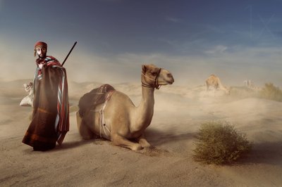 Rejsende i den arabiske ørken af Hussain Buhligaha