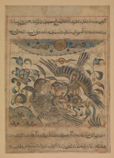 Par ørne, folio fra en Manafi