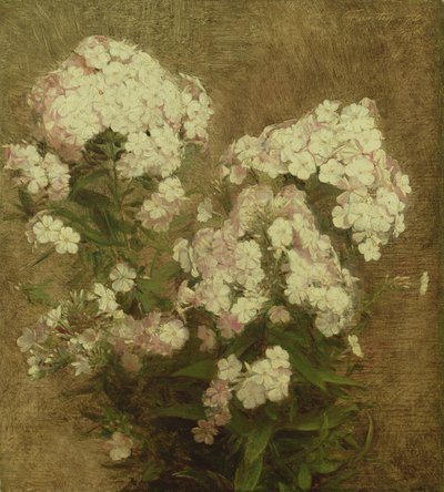 Phlox, 1870 af Ignace Henri Jean Fantin Latour