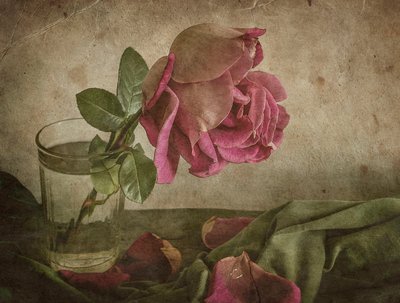 Stilleben med visnende rose af Igor Tokarev