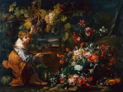 Ung pige plukker druer (olie på lærred) af Il and Brueghel Abraham Borgognone