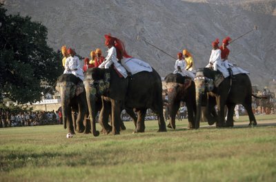Mænd spiller elefantpolo (foto) af Indian Photographer
