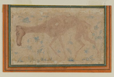 En udmagret hest, fra Mughal eller Deccan, midten af det 17. århundrede (blæk & farvevask på papir) af Indian School