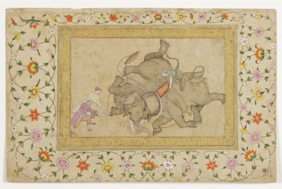 En elefantkamp med blomster-arabesk på kanten, ca. 1610 (ugennemsigtigt wc og guld på papir) af Indian School