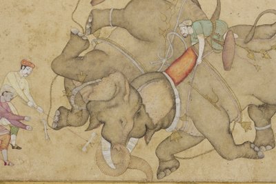 Detalje fra en elefantkamp med blomster-arabesk på kanten, ca. 1610 (ugennemsigtigt wc & guld på papir) af Indian School