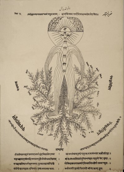 Diagram, der viser meridianpunkter på den menneskelige krop af Indian School
