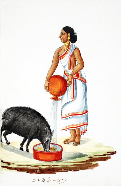 Fodre en vild gris (wc på papir) af Indian School