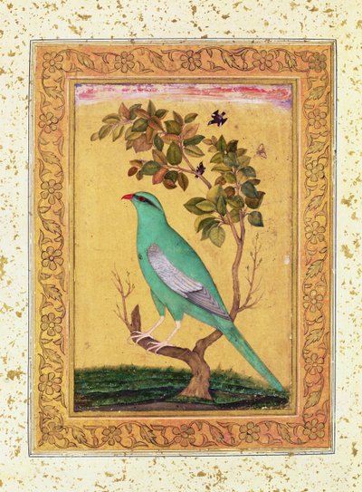 Grøn fugl, Mughal af Indian School