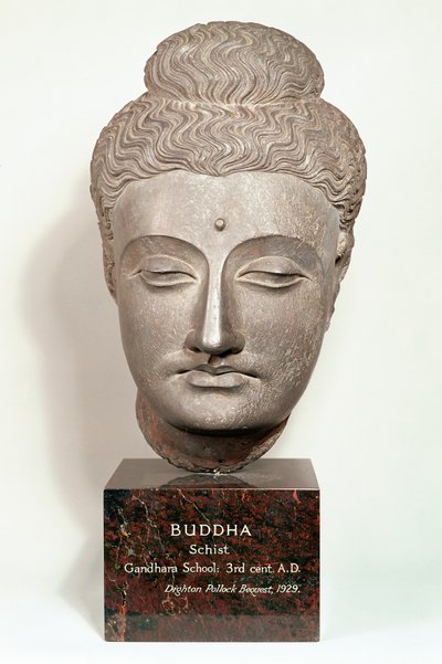 Hoved fra en statue af Buddha, fra Gandhara, Nordvestindien (grå skifer) af Indian School