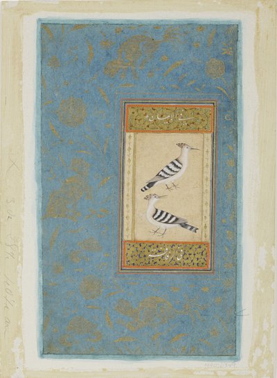 Hoopoes, ca. 1590 (ugennemsigtigt wc & guld på papir) af Indian School