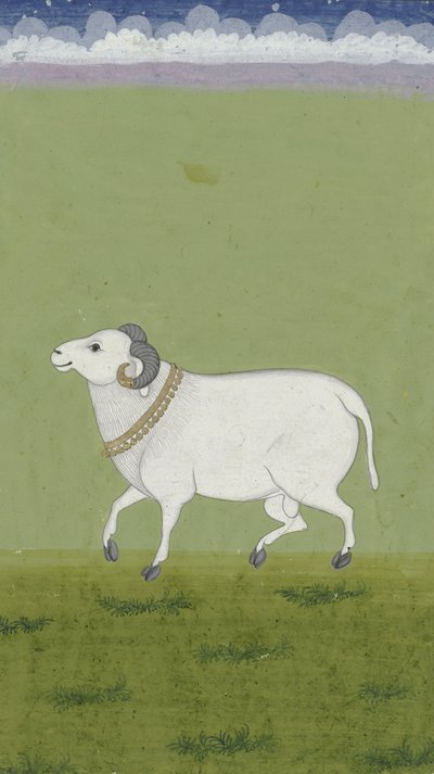 Vædder med gylden krave, 1700-1799 af Indian School