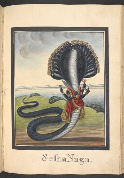 Sesha, slangen, som Vishnu ligger på af Indian School