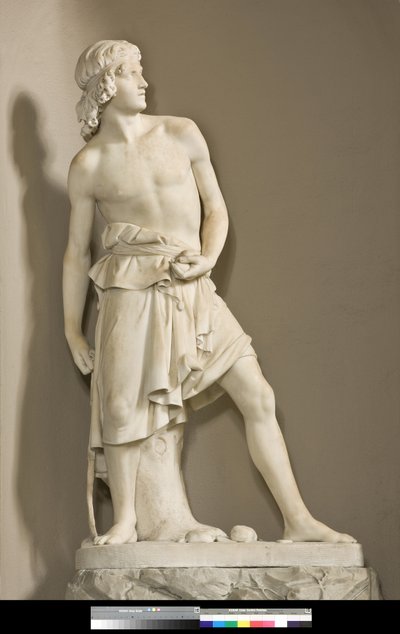 David med slyngen, 1858 af Innocenzo Fraccaroli