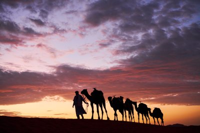En kamelerer leder sine kameler ved Erg Chebbi i ørkenen i Merzouga, Marokko, 2019 (foto) af Ira Block