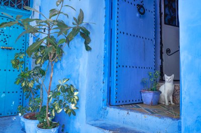Et gadebillede i Chefchaouen, den blå by i Marokko, 2019 (foto) af Ira Block