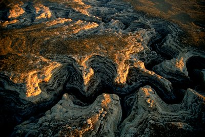 Et luftfoto af en udtørret højslette i Utah - Grand Gulch leverede vand til masser af... af Ira Block