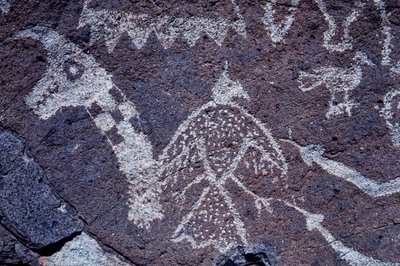 Anasazi Petroglyph (klippekunst) udskæringer i New Mexico. af Ira Block