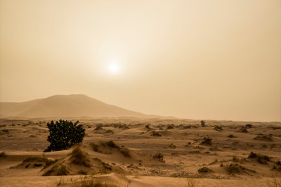 Sandklitter i Erg Chebbi-ørkenen i det sydøstlige Marokko, 2014 (foto) af Ira Block