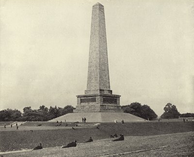 The Wellington Testimonial, Phoenix Park (s/h-billede) af Irish Photographer