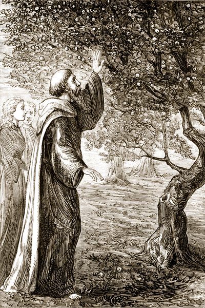 St. Columba ændrer bitter frugt til sød, fra The Trias Thaumaturga, eller Three Wonder-Working Saints of Ireland, af Mary Cusack (1829-99) udgivet omkring 1890