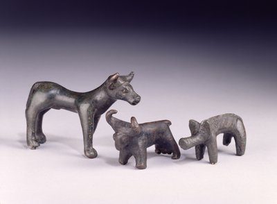 To tyre, fra Ungarn og en orne, fra Gower Cave, Rhossilly, South Wales, jernalder (bronze) af Iron Age