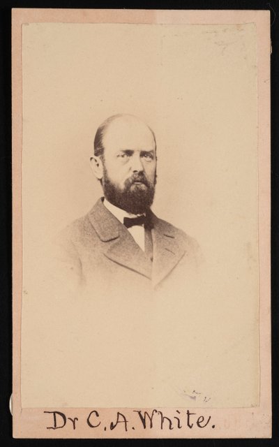 Portræt af Charles Abiathar White 1826-1910, 1868. af Isaac Augustus Wetherby