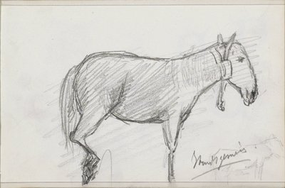 Hest af Isaac Gosschalk