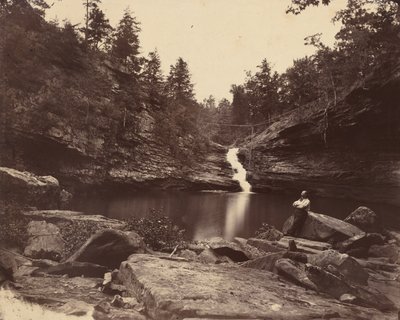 Lula Lake, Lookout Mountain, Georgia, 1864-1865. af Isaac H. Bonsall